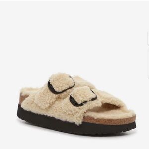 Arizona big buckle papillon Birkenstock